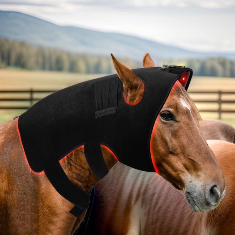 Rood Licht Dierenarts Therapie - Pet Supplies Near recensie en prijs