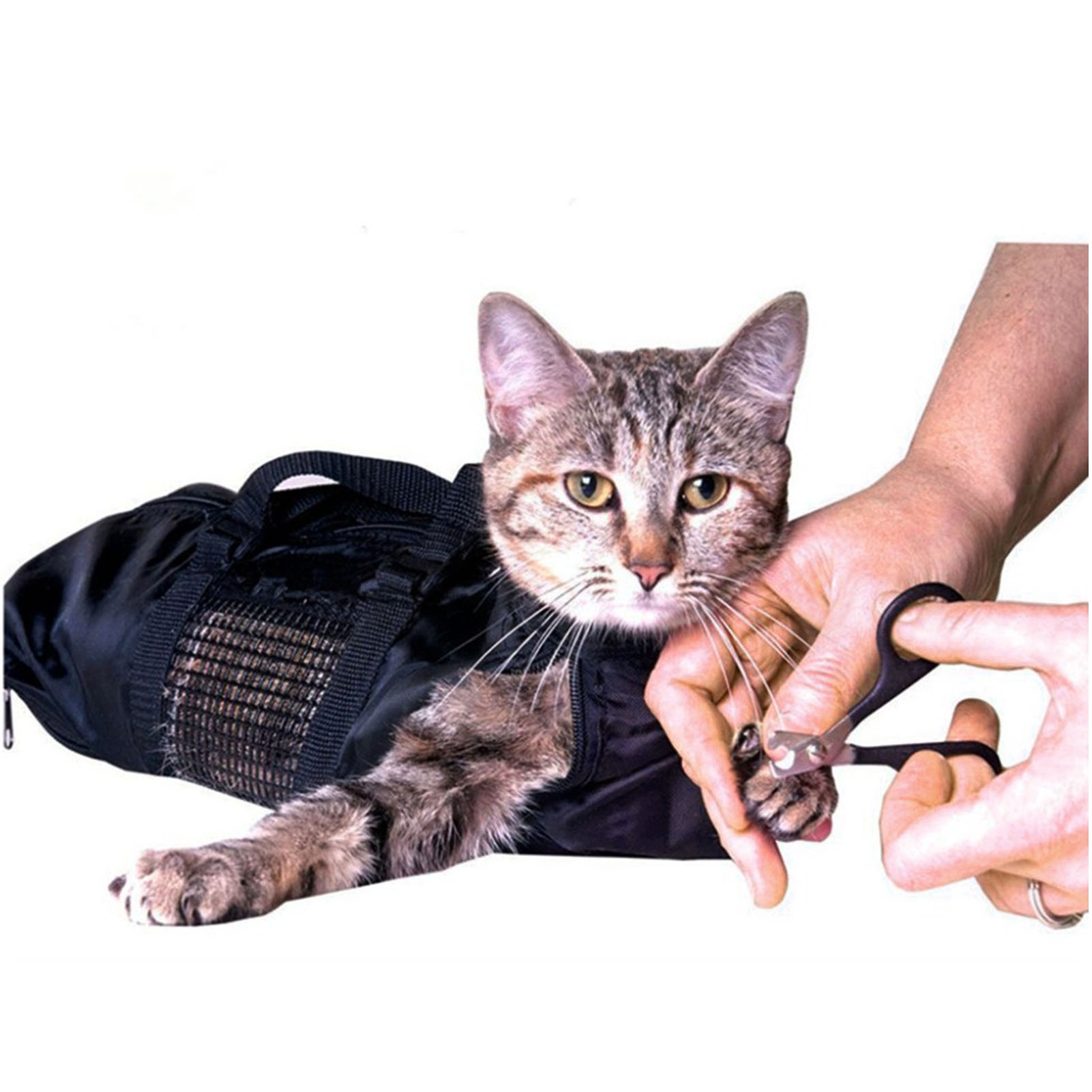 Mesh Kattenverzorgings- en Bad - Pet Supplies Nail Trim recensie en prijs