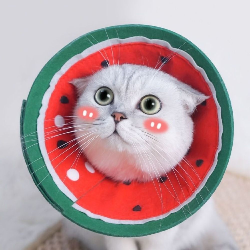 Fruitpatroon Zachte Elizabetha - Pet Supplies Nail Trim recensie en prijs